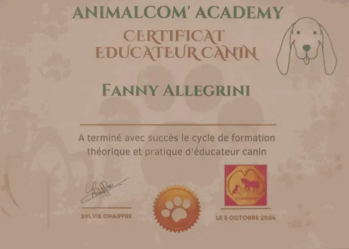 Animalcom' Academy, dog trainer certificate awarded to Fanny Allegrini on 5 October 2024.