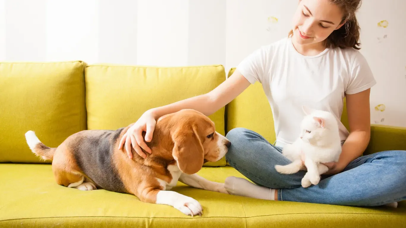 Person sitting on a sofa with a dog and a cat